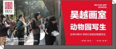 动物园写生｜杭州吴越画室：校考冲刺中，同学们来到动物园写生